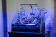 Aqua Worx EOS LED Aquarium Light - RGB