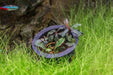 Bucephalandra Brownie Blue Pot - BucePlant.com