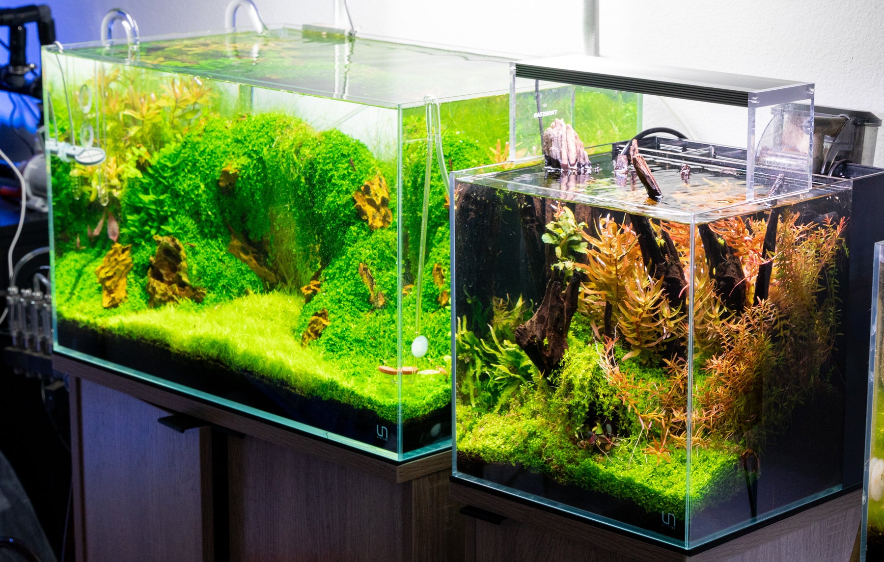 7 Things I Wish I Knew About Aquascaping