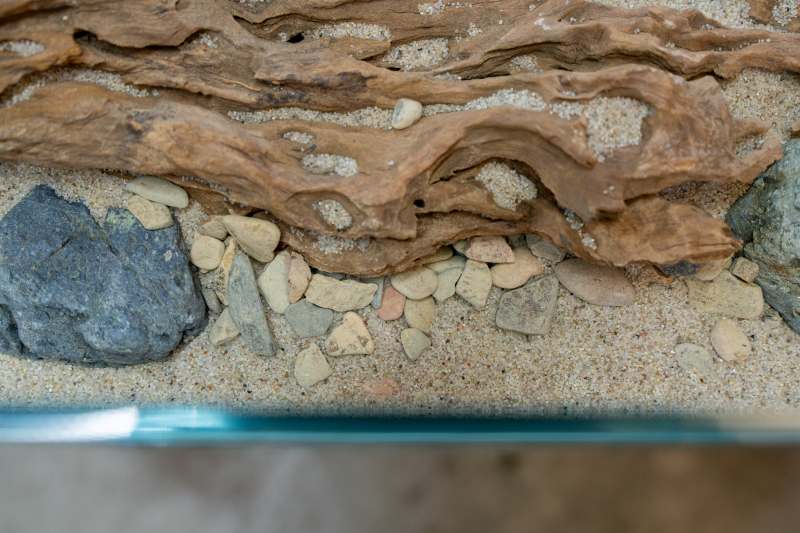 How To Choose the Right Substrate for Aquascaping Success