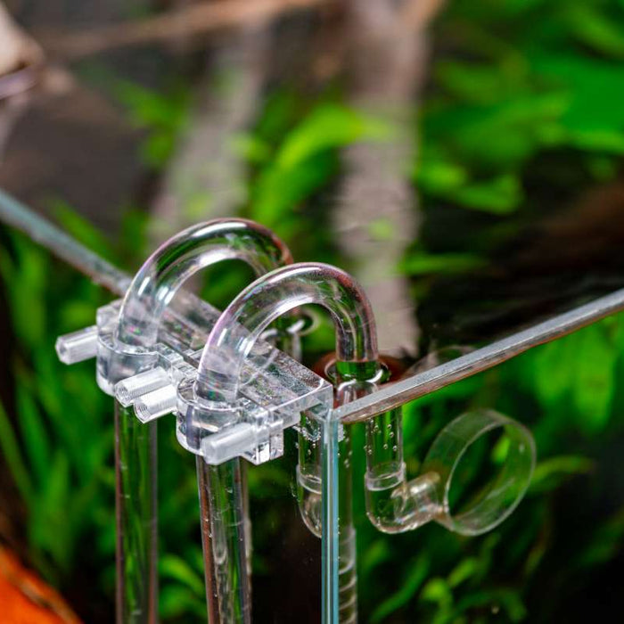 水草 BUCE for ponkotsushoten 水草 BUCE for ponkotsushoten 水草 BUCE for ponkotsushoten