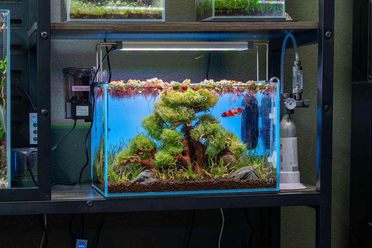 Top-Rated Equipment for Aquascaping in Small Spaces