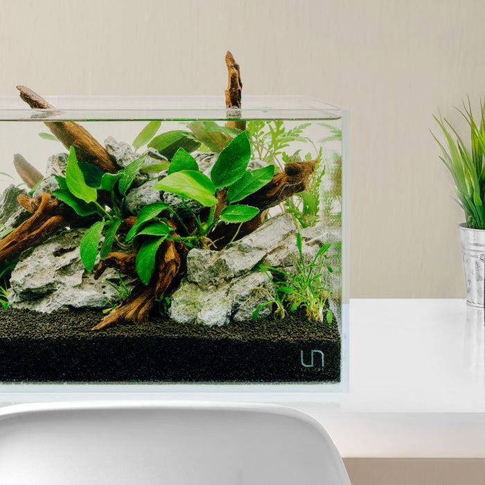 planted tank on desktop