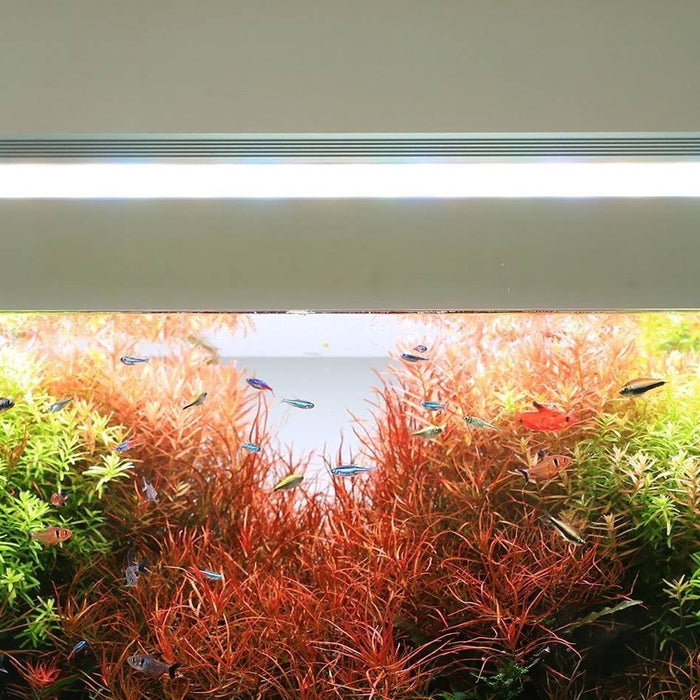 twinstar light comparison