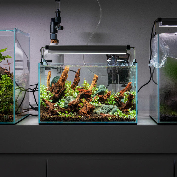 Common Issues With Nano Tanks and How To Avoid Them