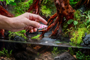 2HR Aquarist - APT Balance