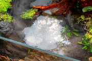 2HR Aquarist - APT Balance