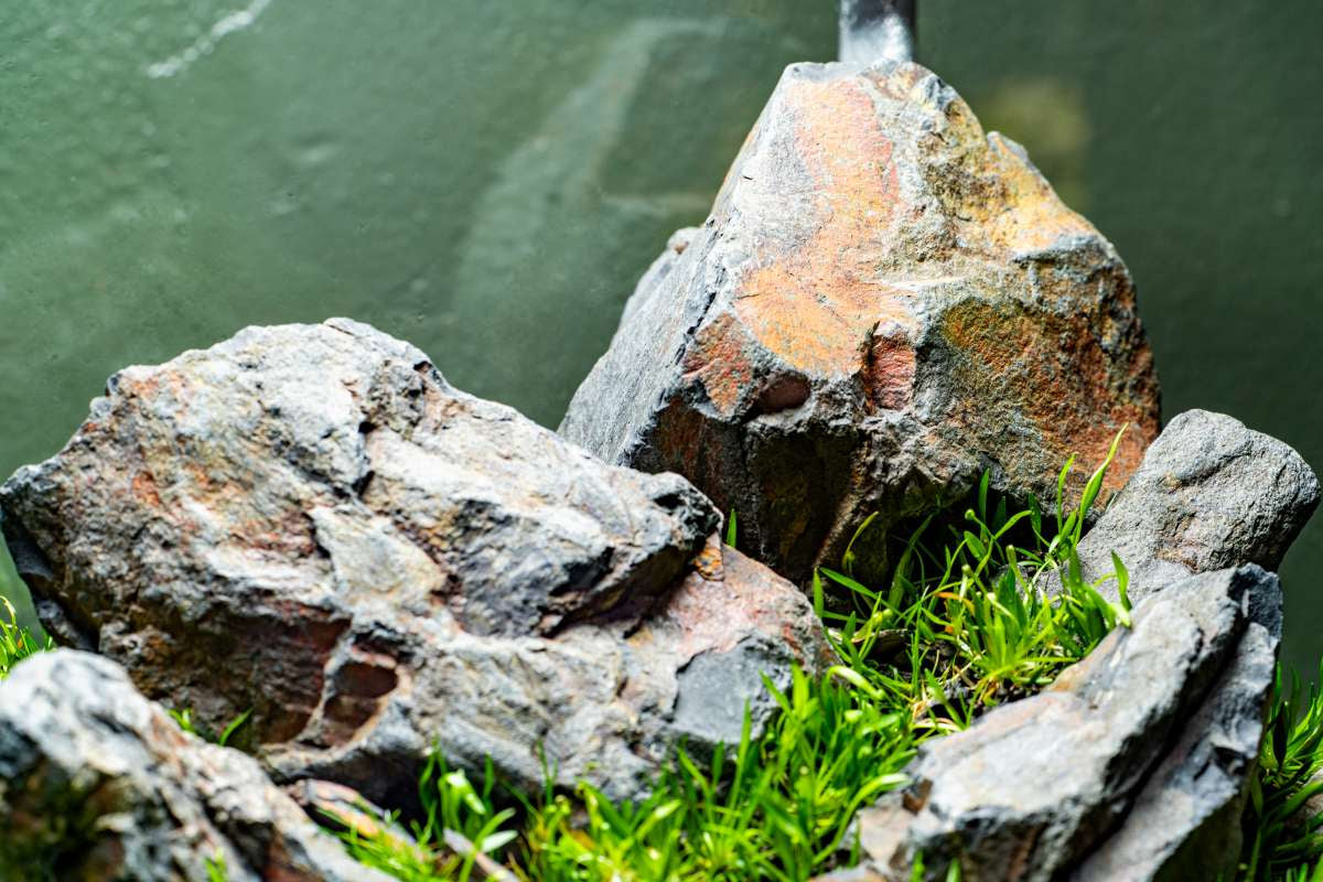 Ancient Stone is being used in a planted tank.
