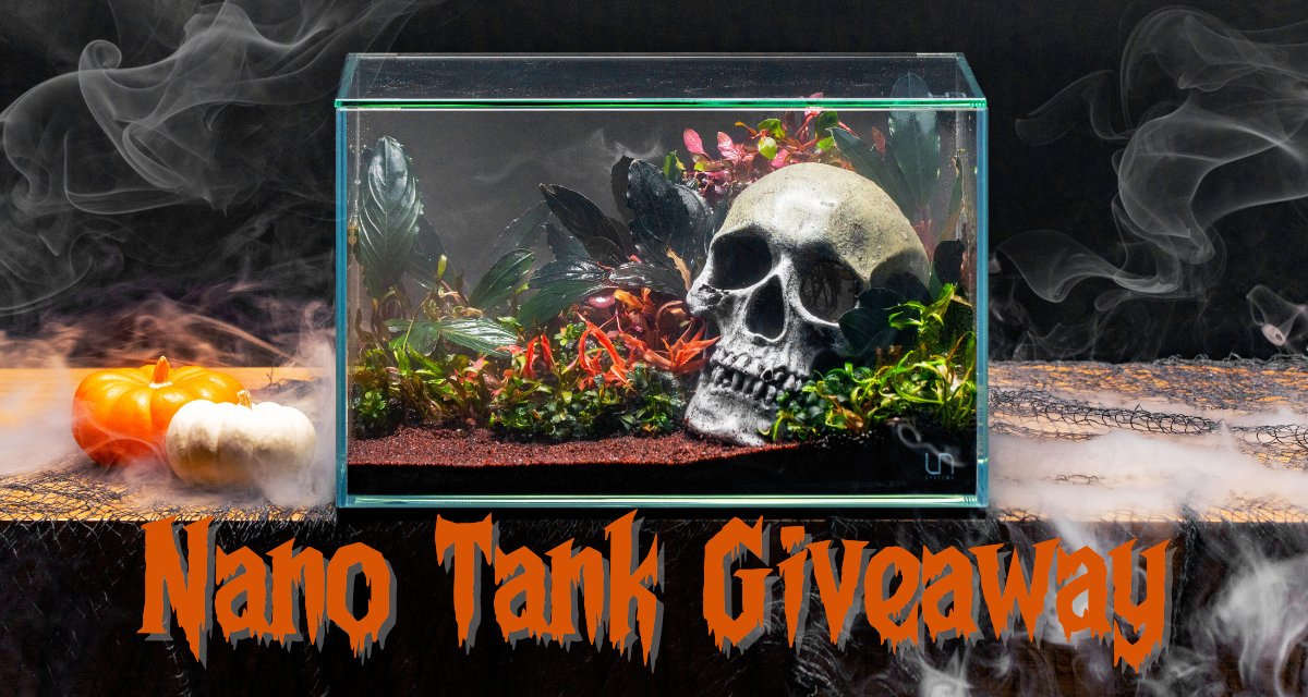 Win a Tank of Your Choice