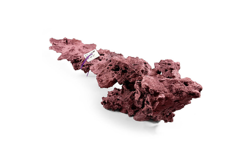 Reef Rock Showpiece (RRS015)