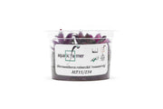 Alternanthera Reineckii Rosanervig Aquatic Farmer Tissue Culture Aquatic Plant - Buce Plant
