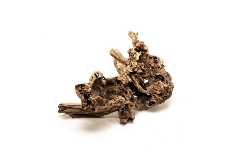 Amazon Wood Driftwood - Buce Plant