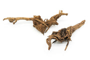 Amazon Wood Driftwood - Buce Plant