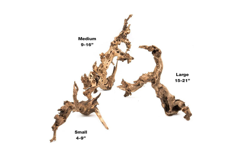 Amazon Wood Driftwood - Buce Plant