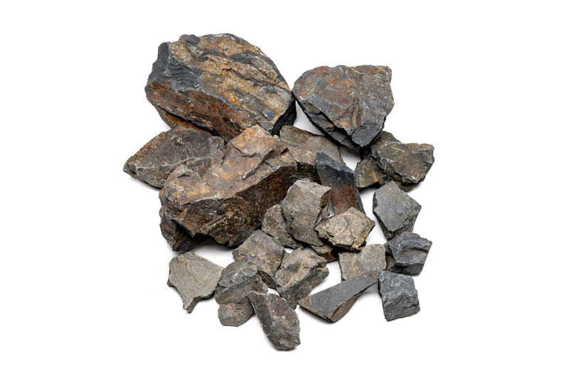 Ancient Stone Stone - Buce Plant