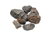 Ancient Stone Stone - Buce Plant