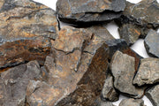 Ancient Stone Stone - Buce Plant