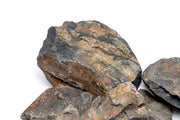 Ancient Stone Stone - Buce Plant
