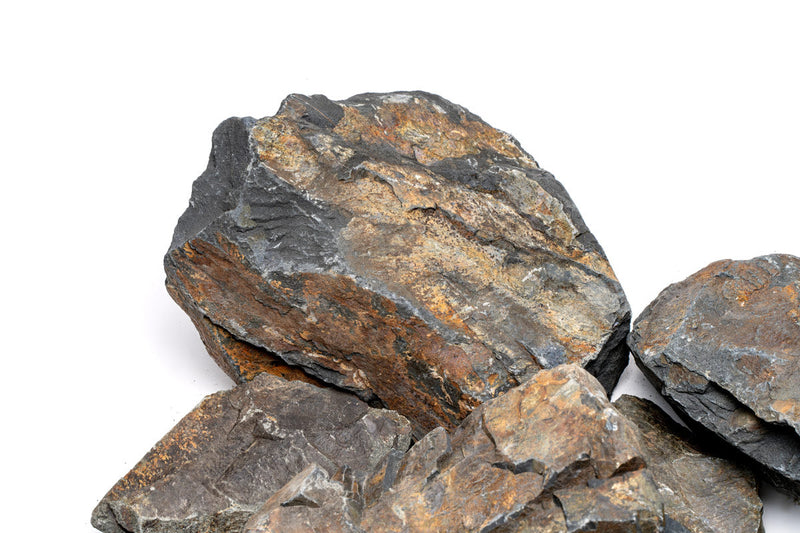 Ancient Stone Stone - Buce Plant