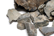 Ancient Stone Stone - Buce Plant