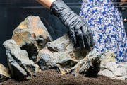 Ancient Stone Stone - Buce Plant