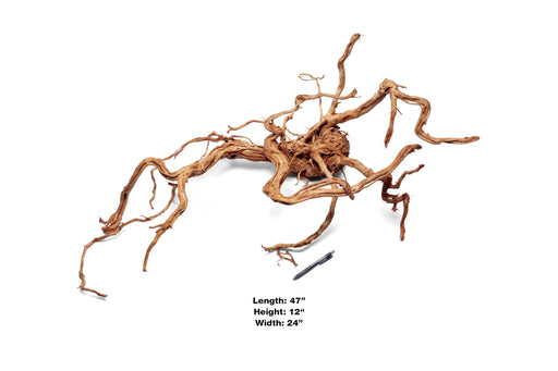 Ancient Wood Showpiece (AW01)