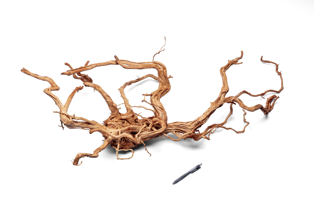 Ancient Wood Showpiece (AW01)