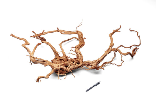 Ancient Wood Showpiece (AW01)