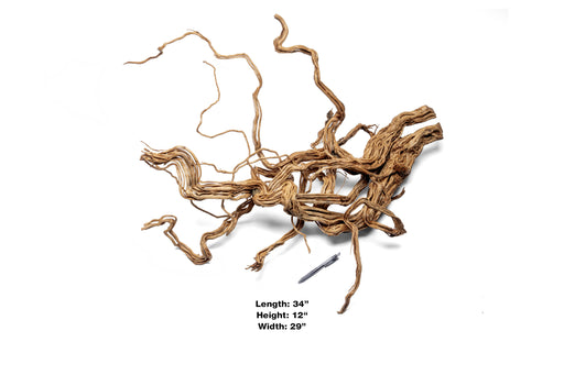 Ancient Wood Showpiece (AW010)