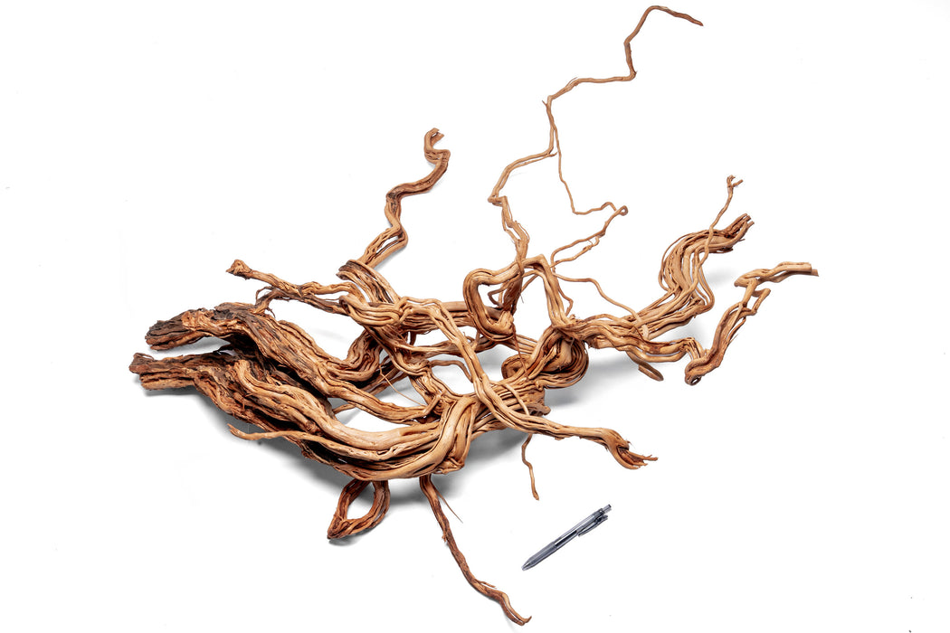 Ancient Wood Showpiece (AW010)
