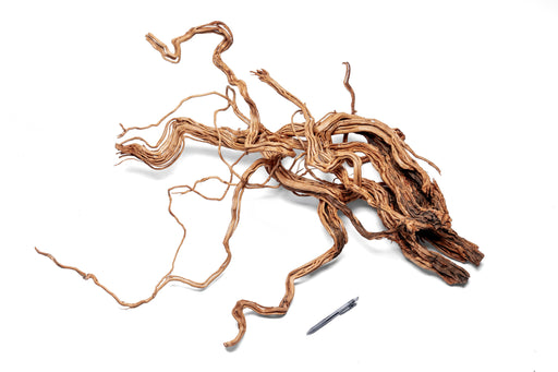 Ancient Wood Showpiece (AW010)