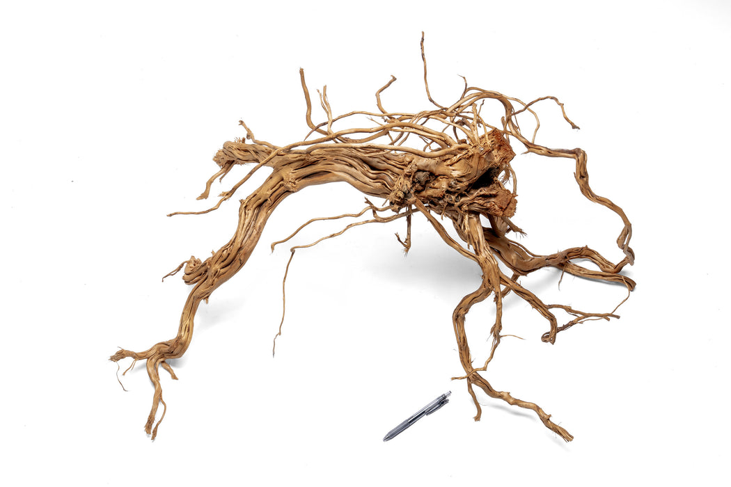 Ancient Wood Showpiece (AW011)