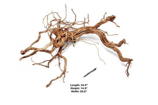 Ancient Wood Showpiece (AW011)