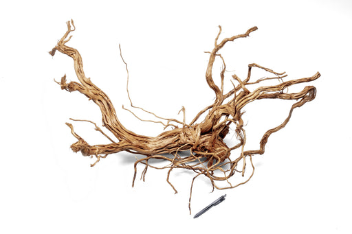 Ancient Wood Showpiece (AW011)