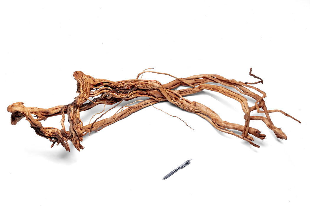 Driftwood Ancient Wood Showpiece by UNSHARDSCAPE, showcasing natural, weathered wood sculpture with intricate textures.