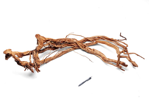 Driftwood Ancient Wood Showpiece by UNSHARDSCAPE, showcasing natural, weathered wood sculpture with intricate textures.