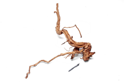 Ancient Wood Showpiece (AW013)