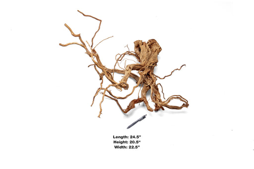 Ancient Wood Showpiece (AW014)