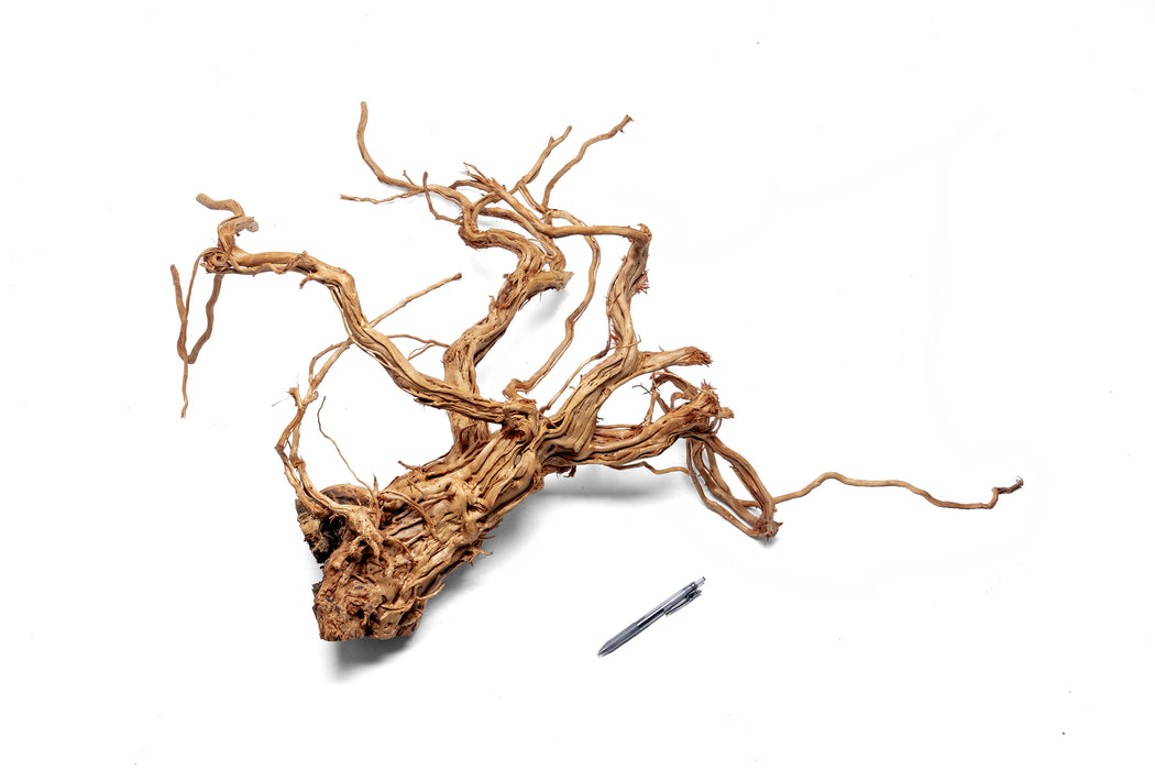 Ancient Wood Showpiece (AW014)