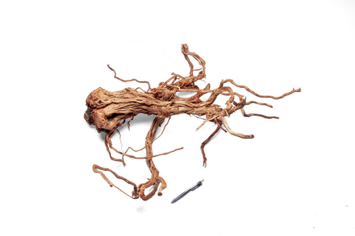 Ancient Wood Showpiece (AW014)