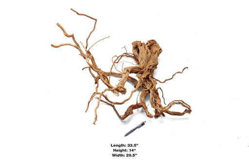 Ancient Wood Showpiece (AW015)