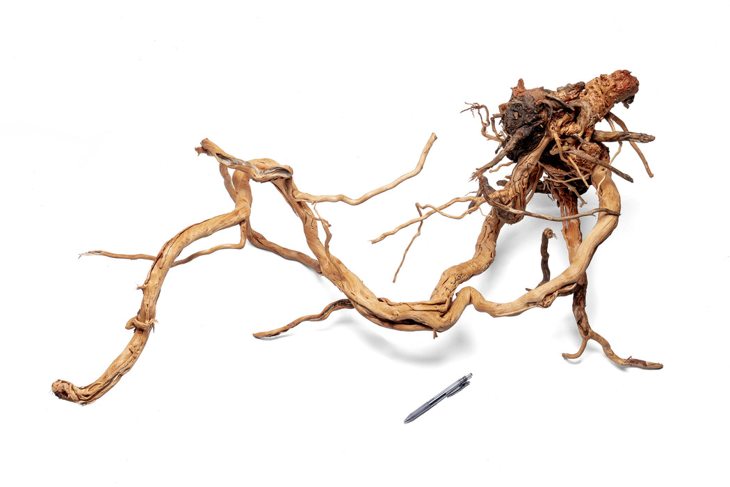 Ancient Wood Showpiece (AW015)