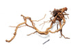 Ancient Wood Showpiece (AW015)
