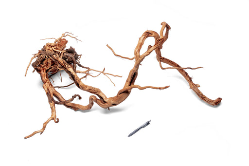 Ancient Wood Showpiece (AW015)