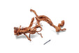 Ancient Wood Showpiece (AW02)