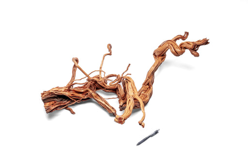 Ancient Wood Showpiece (AW02)
