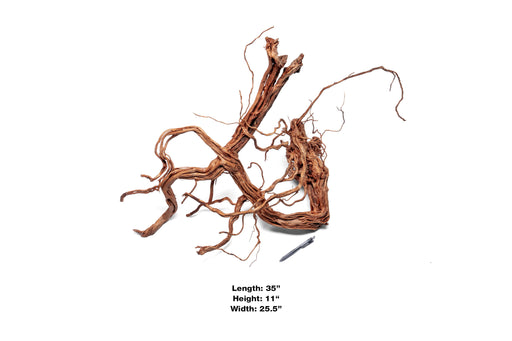 Ancient Wood Showpiece (AW03)