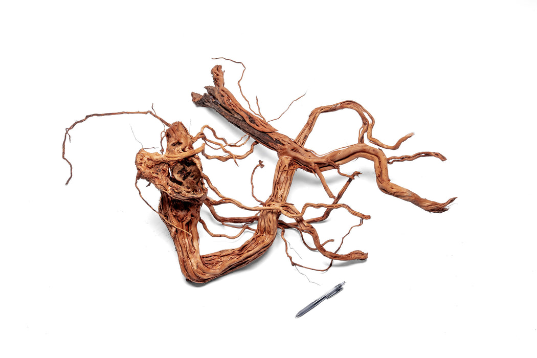 Ancient Wood Showpiece (AW03)