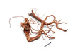 Ancient Wood Showpiece (AW03)