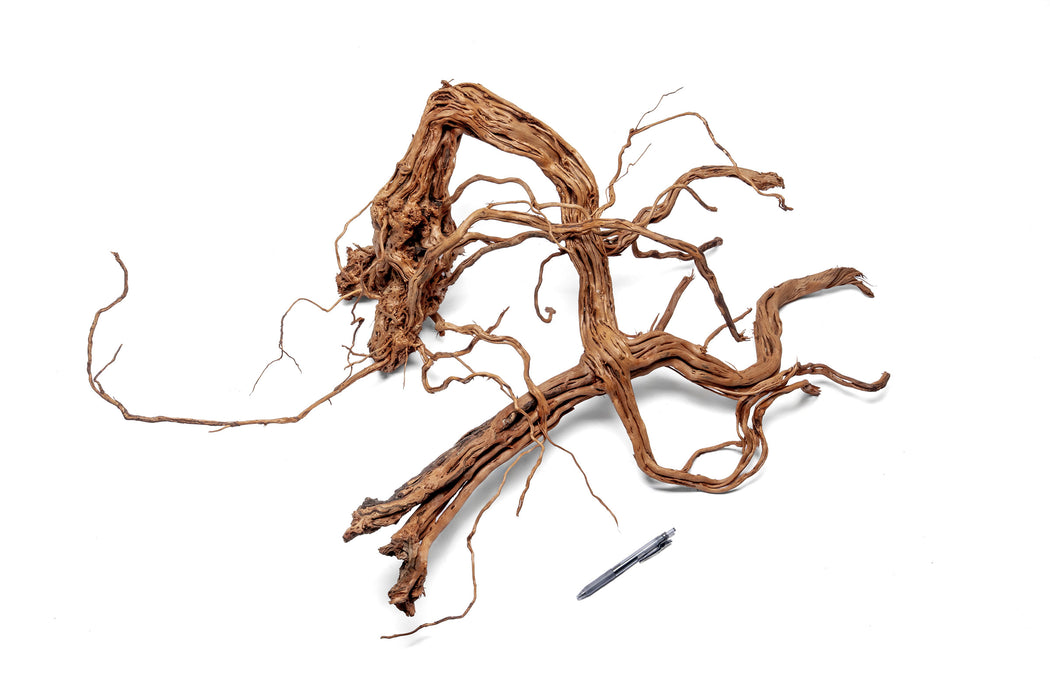 Ancient Wood Showpiece (AW03)